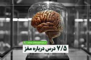 کتاب 7/5 درس درباره مغز